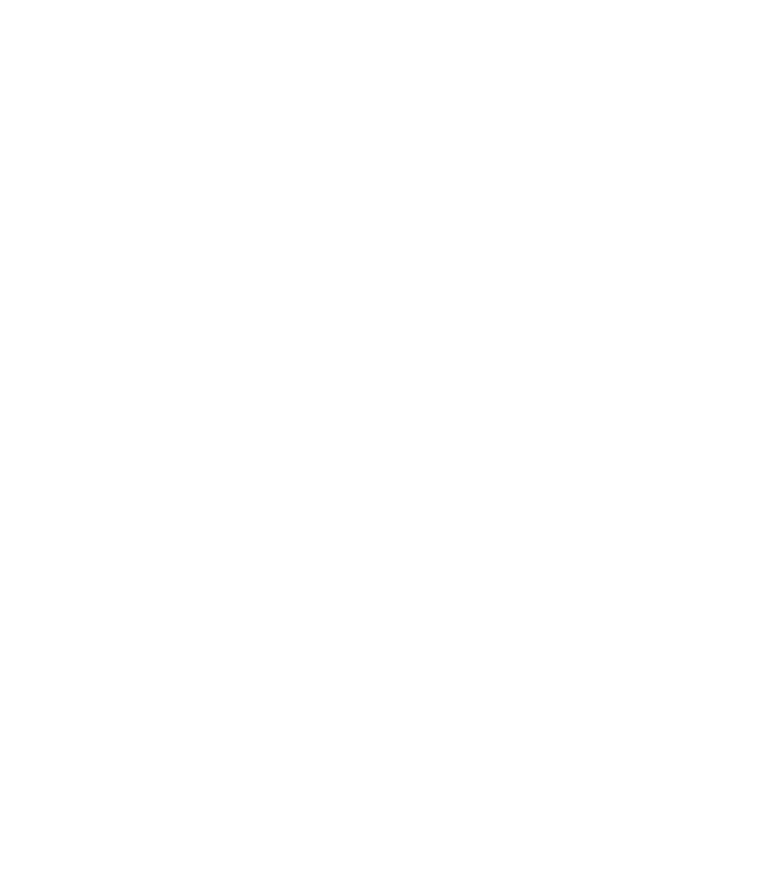 ビデオカードのオーバーレイ画像